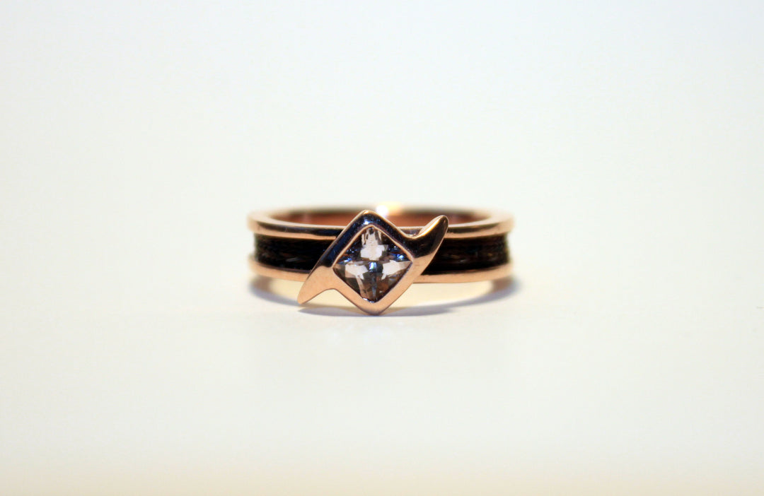 Canter Ring