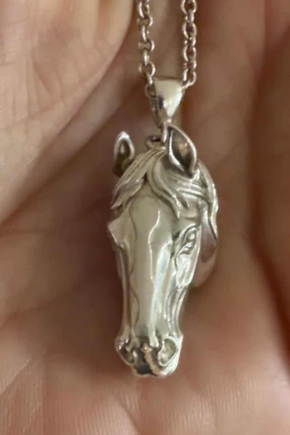 3D Horse Head